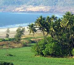 Kerala Backwaters